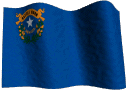 Nevada State Flag